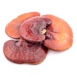 Reishi Orgánico en Polvo 100g