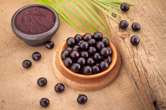 Açaí Orgánico Liofilizado en Polvo 100g