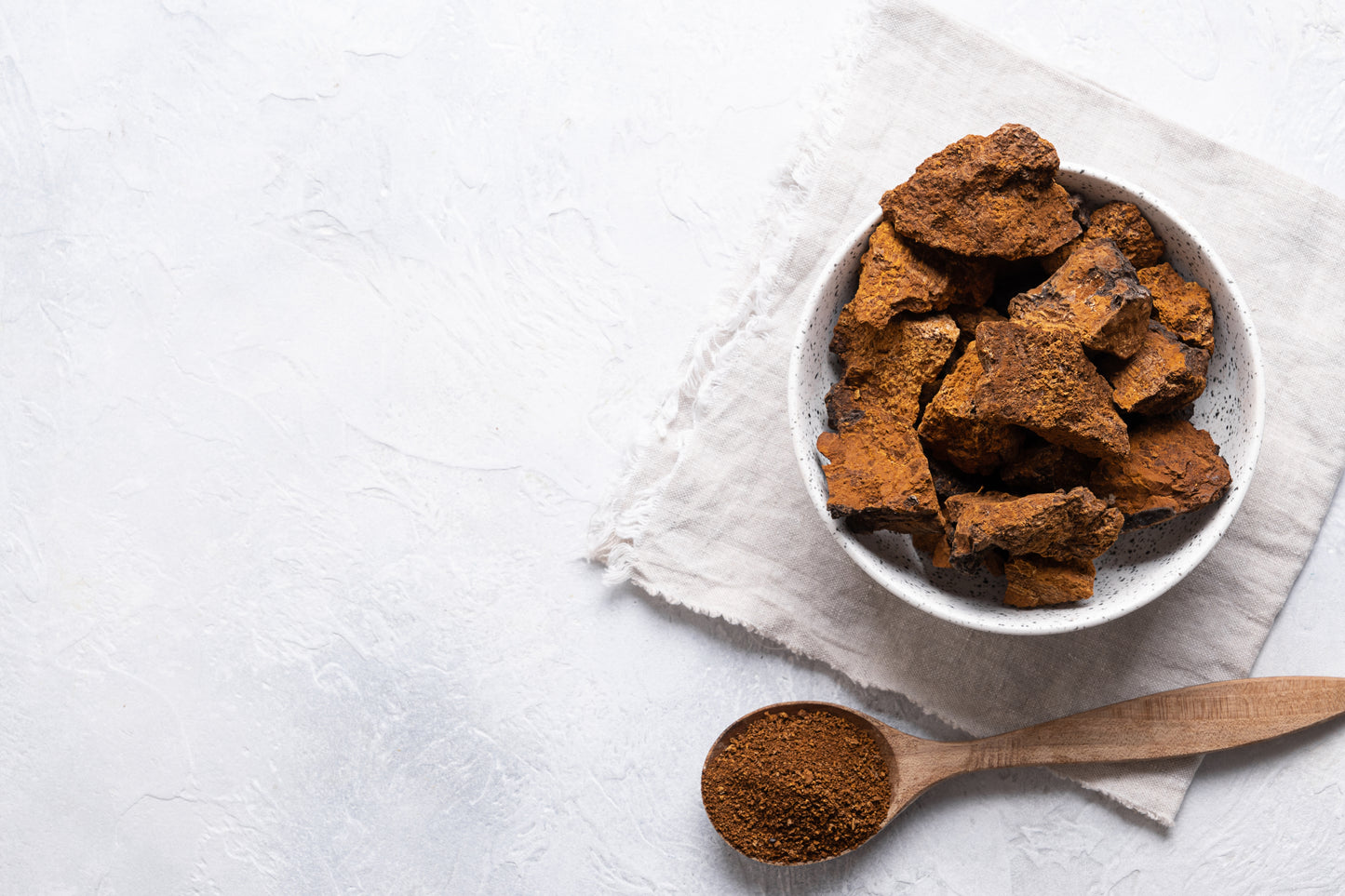 Chaga Orgánico en Polvo 100g