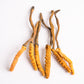 Cordyceps Orgánico 100 gr